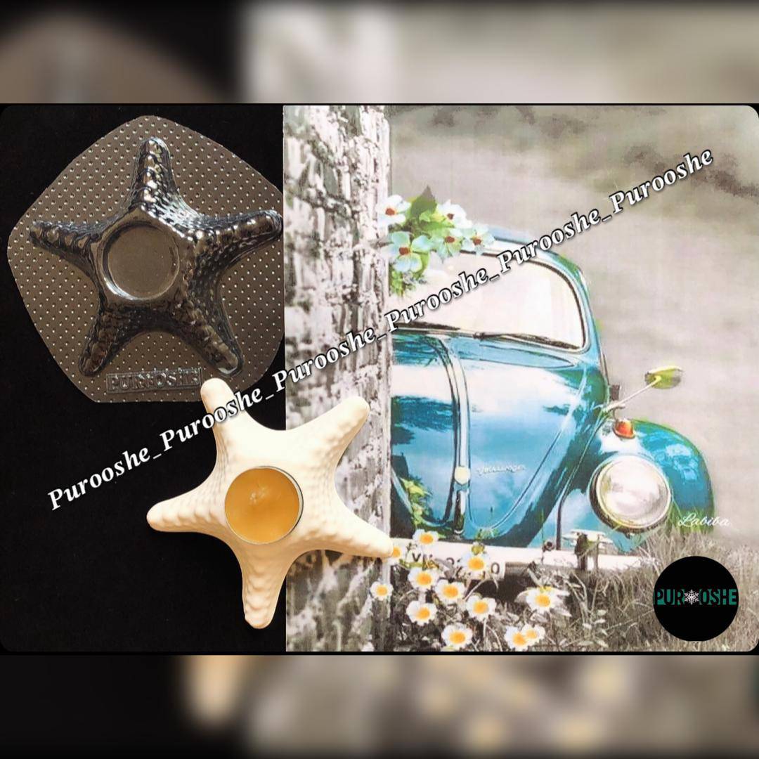 دسته بندی متفرقه پرووشه